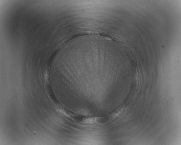 X0000075860084200609291559