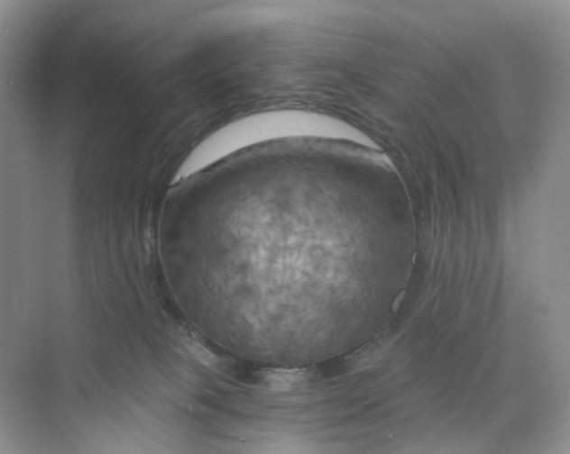 X0000075860085200609291559