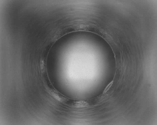 X0000075860087200609291559