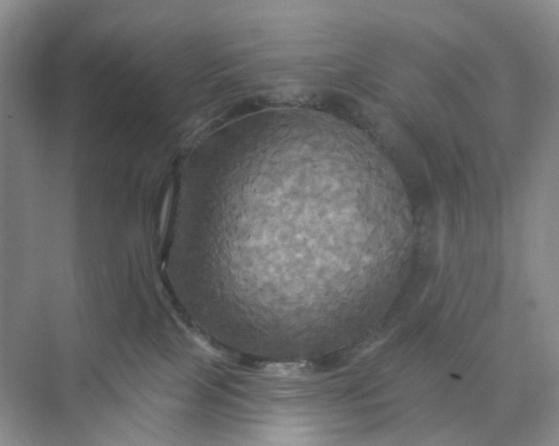 X0000075860089200609291559