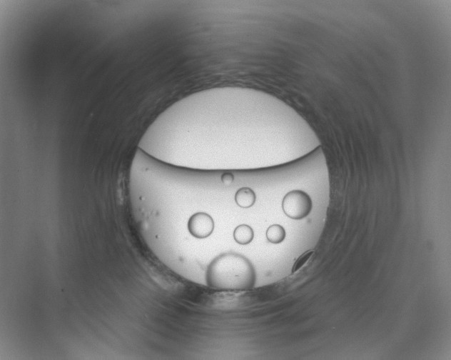 X0000075860090200609291559