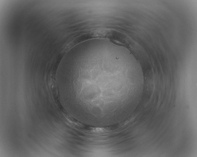 X0000075860091200609291559