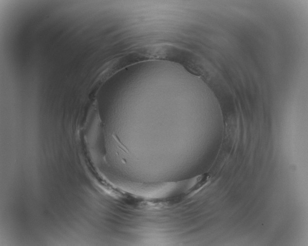 X0000075860092200609291559