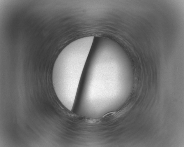 X0000075860096200609291559