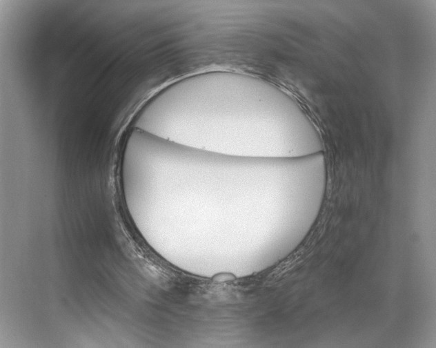 X0000075860098200609291558