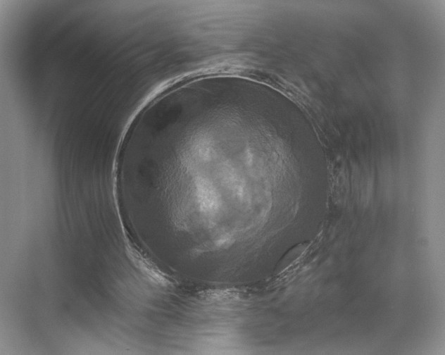 X0000075860100200609291558