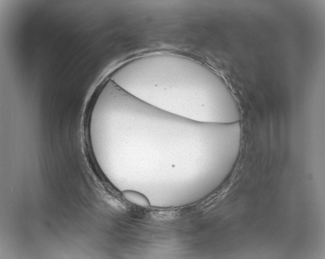 X0000075860102200609291558