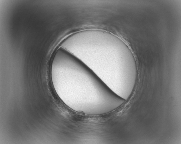 X0000075860103200609291558