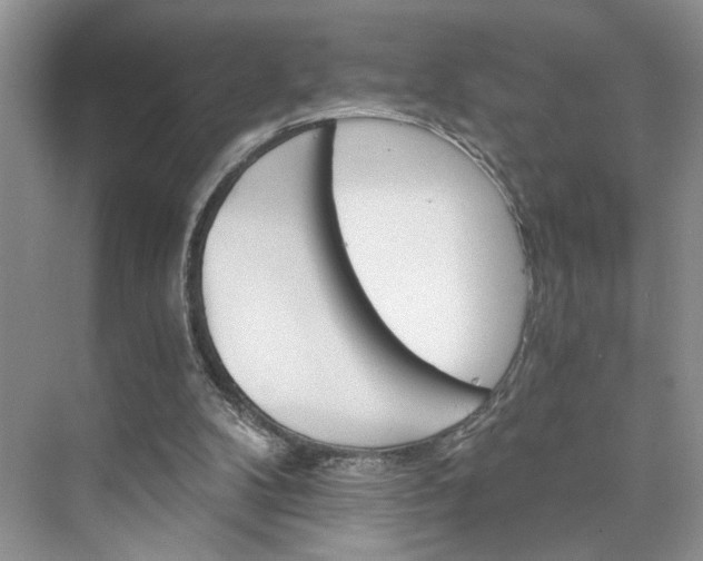 X0000075860104200609291558