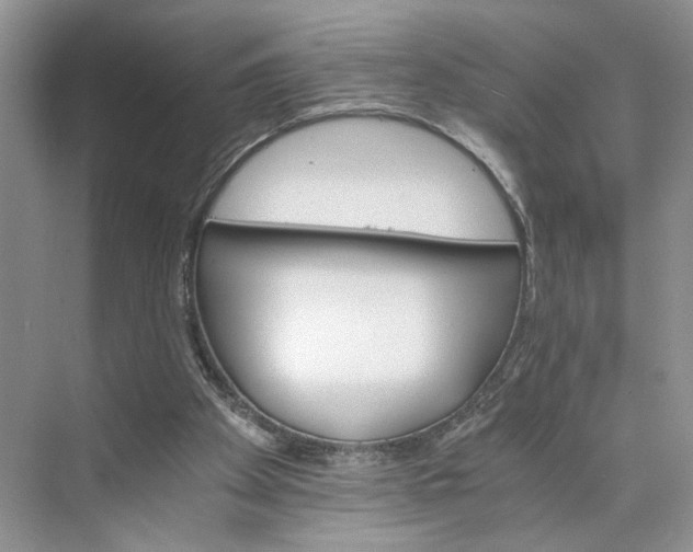 X0000075860105200609291558