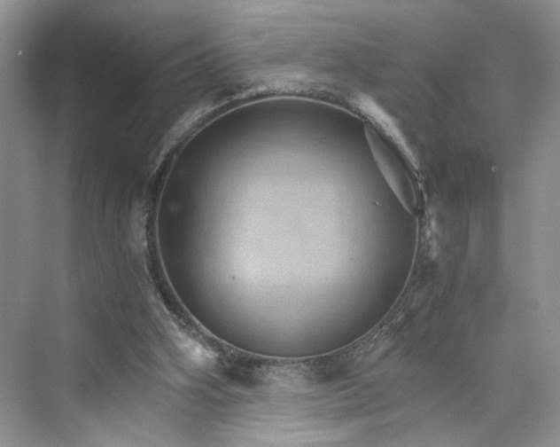 X0000075860106200609291558