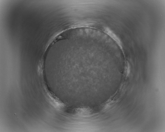 X0000075860107200609291558