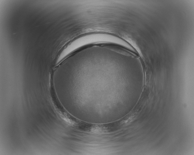 X0000075860109200609291558