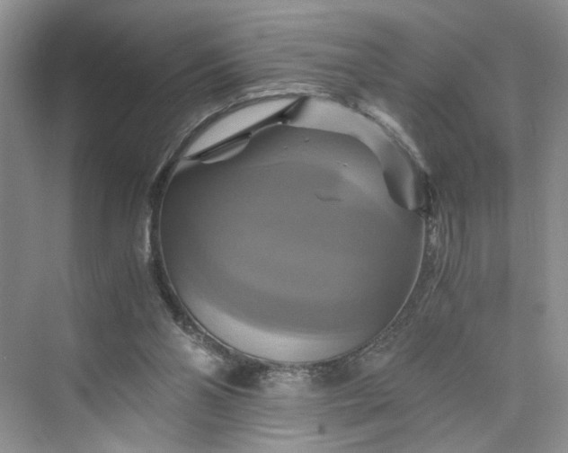 X0000075860110200609291558