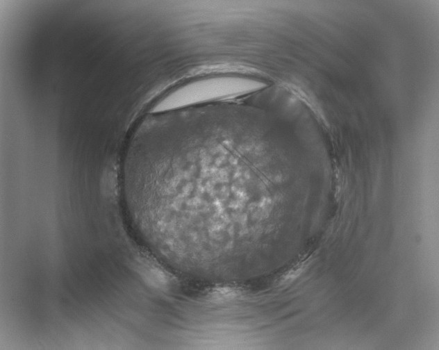 X0000075860111200609291558