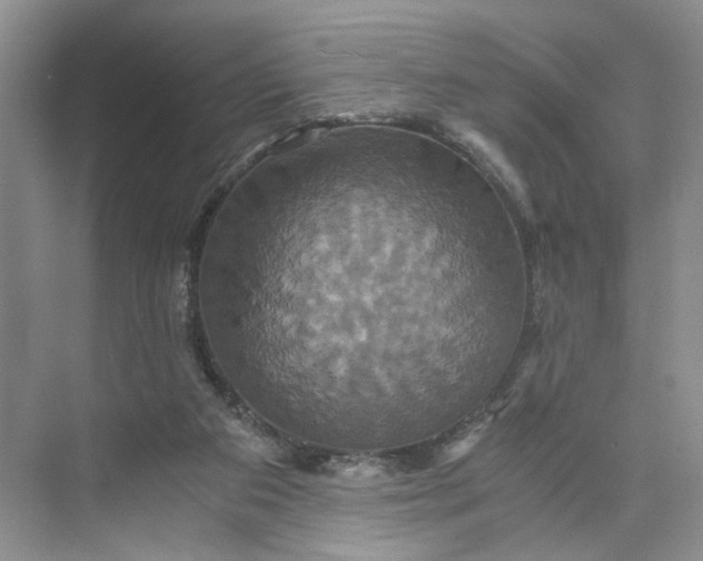 X0000075860113200609291558