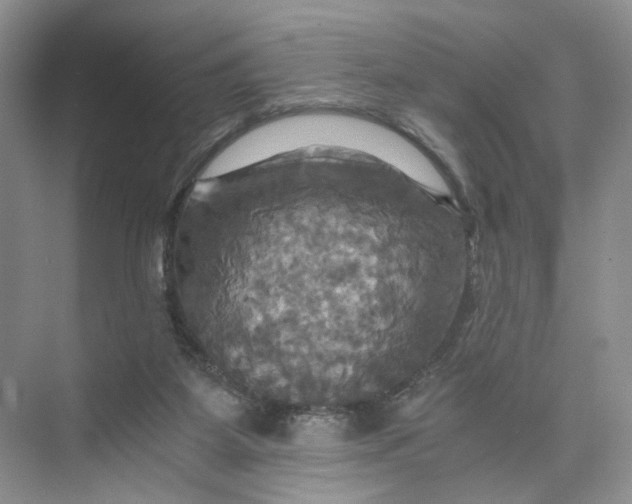 X0000075860115200609291558