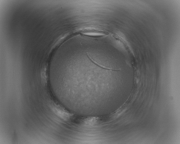 X0000075860116200609291558