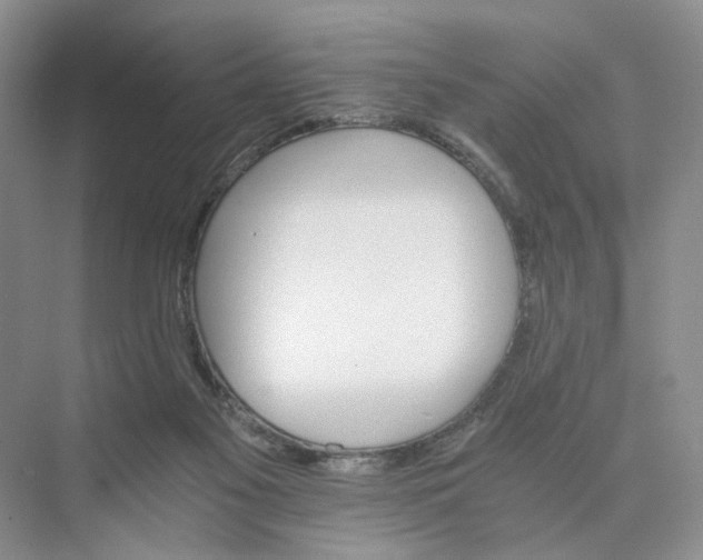 X0000075860117200609291558