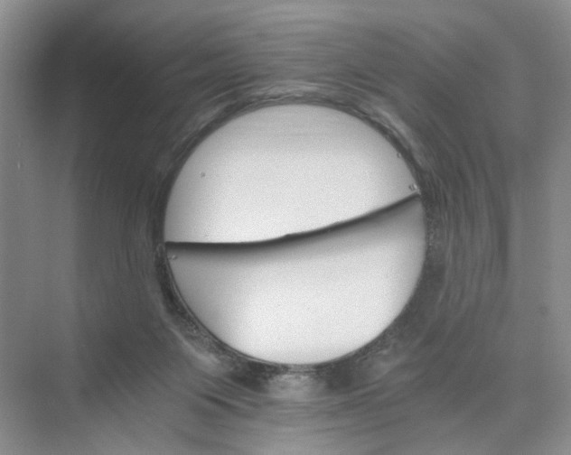 X0000075860119200609291558