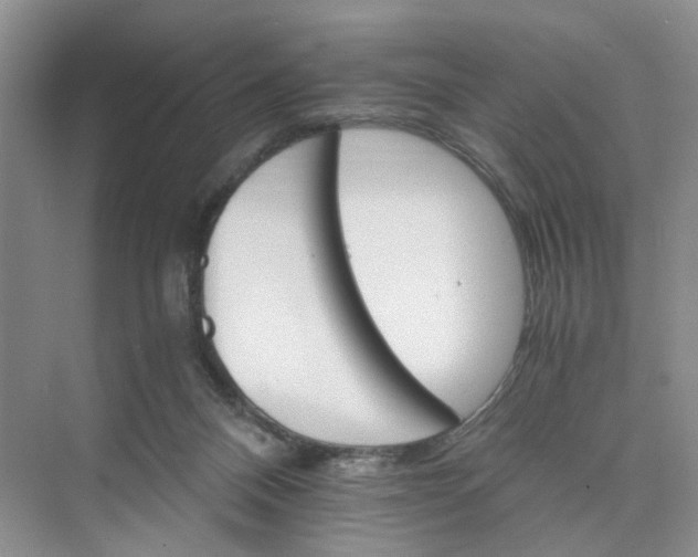 X0000075860120200609291558