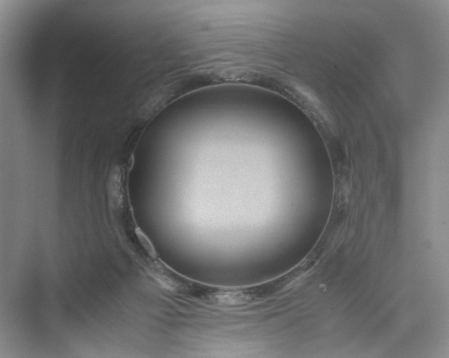 X0000075860121200609291558