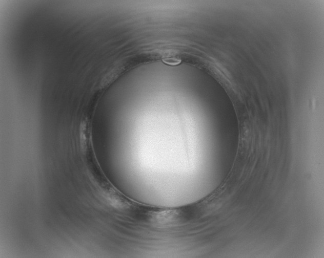 X0000075860122200609291558