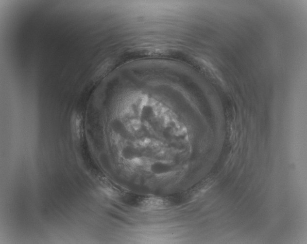 X0000075860123200609291558