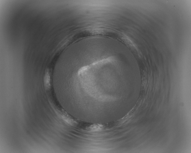 X0000075860124200609291558