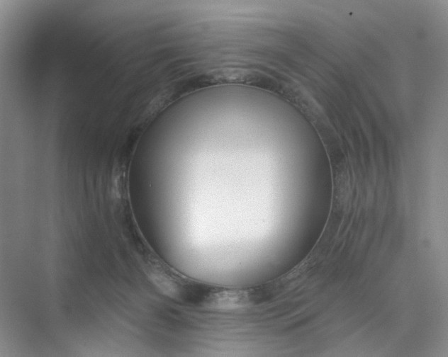 X0000075860126200609291558