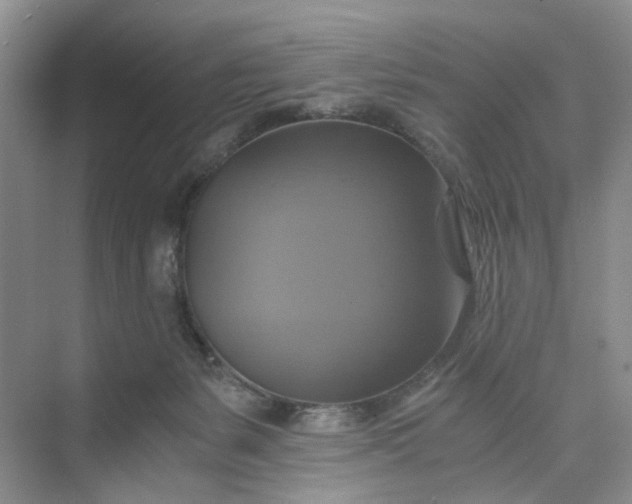 X0000075860127200609291558