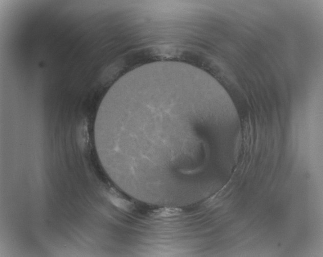 X0000075860128200609291558