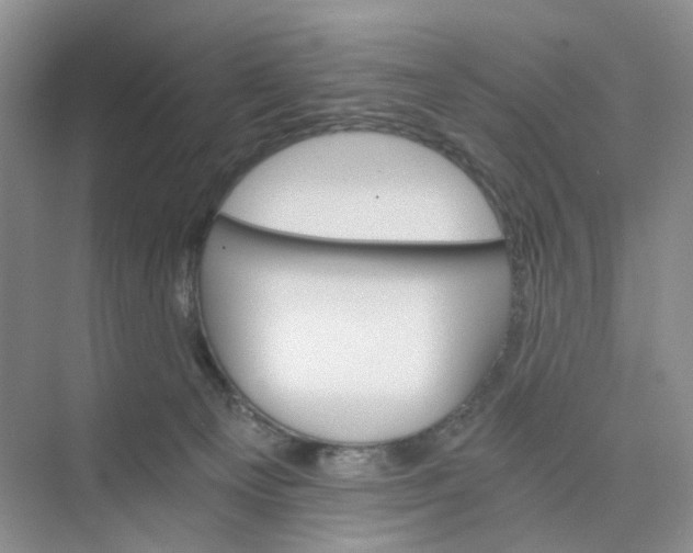 X0000075860129200609291558