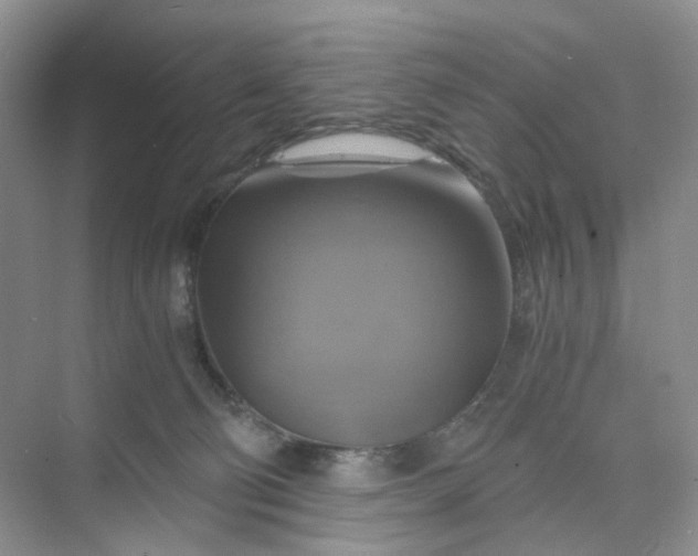 X0000075860130200609291558