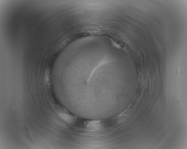 X0000075860132200609291558