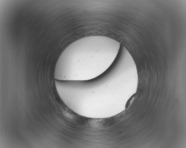 X0000075860136200609291558