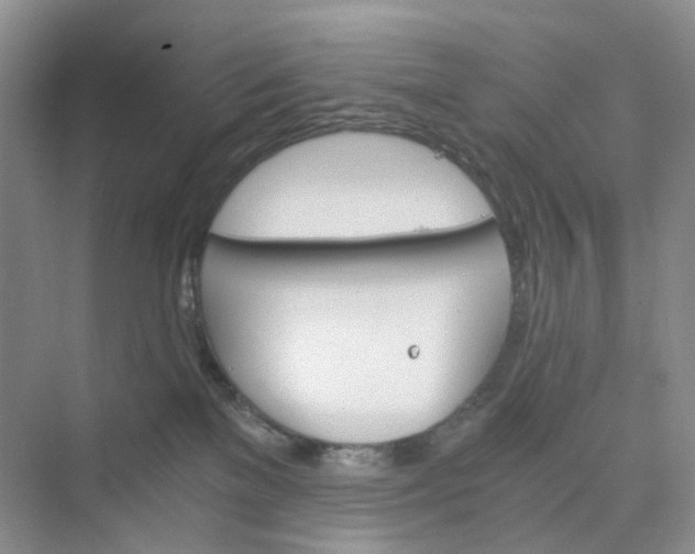 X0000075860137200609291557