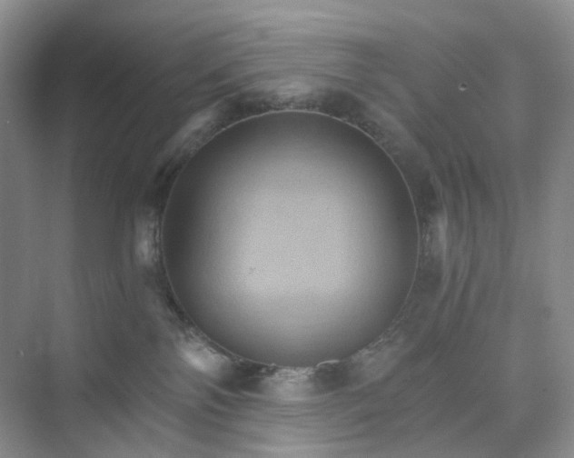 X0000075860138200609291557