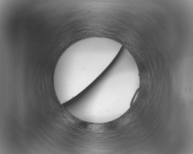 X0000075860139200609291557