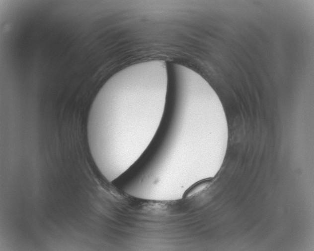 X0000075860140200609291557