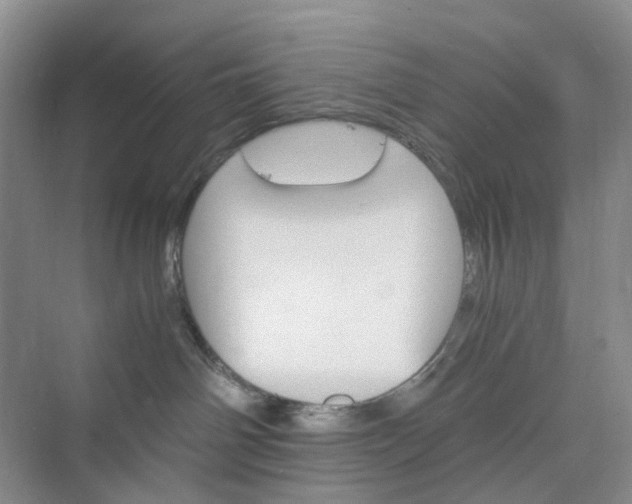 X0000075860142200609291557