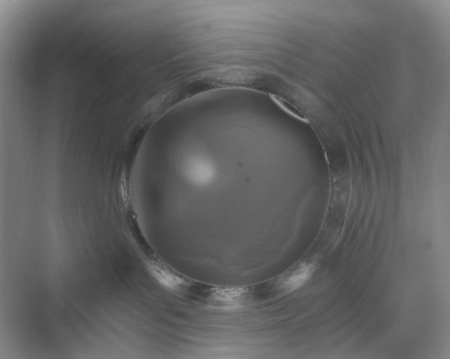 X0000075860143200609291557