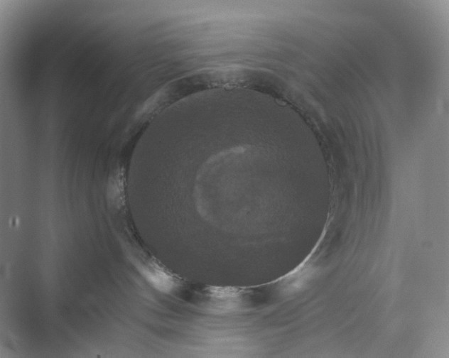 X0000075860144200609291557