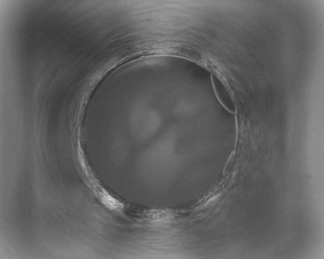 X0000075860145200609291557