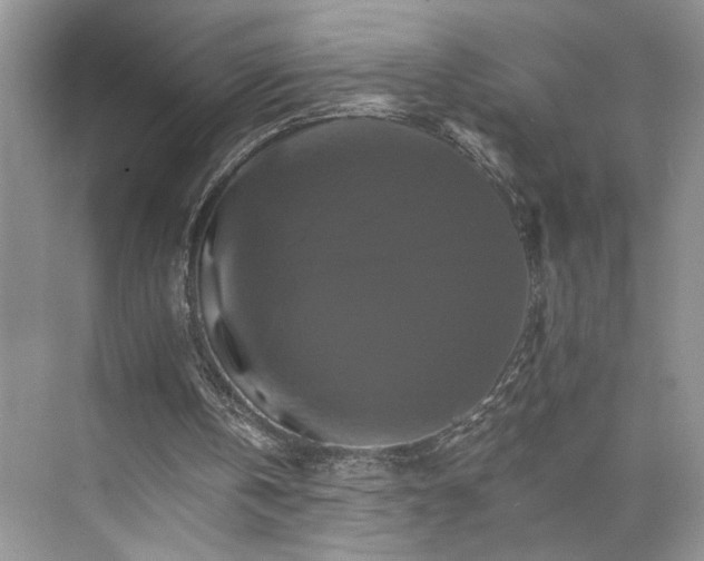 X0000075860146200609291557