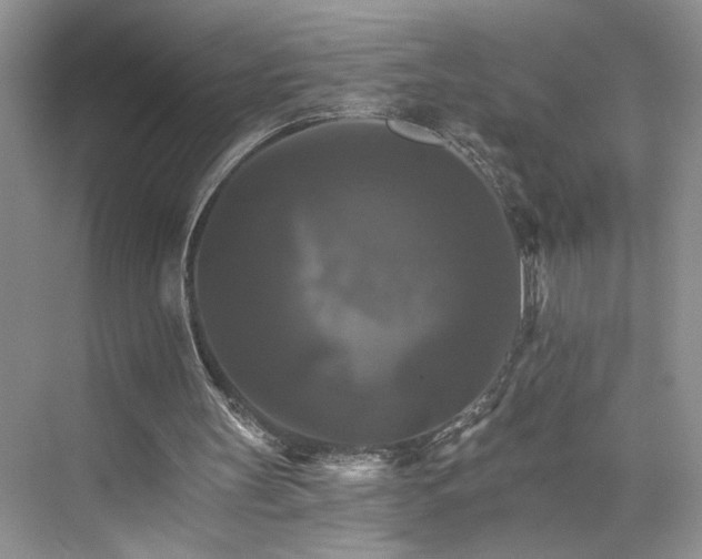 X0000075860147200609291557