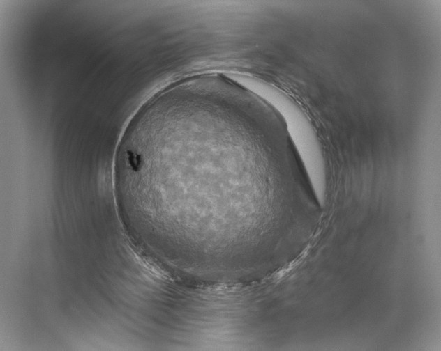 X0000075860148200609291557