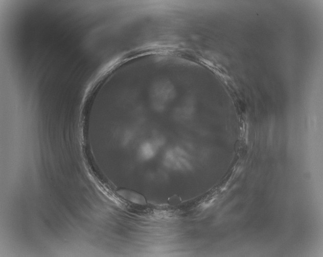 X0000075860149200609291557