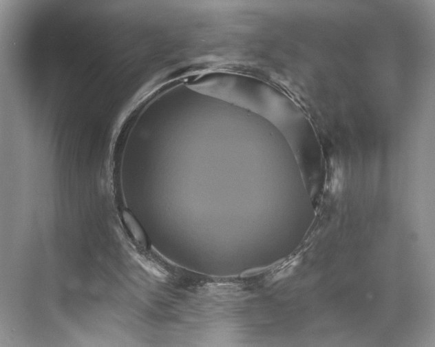 X0000075860150200609291557