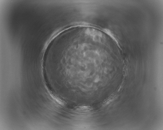 X0000075860151200609291557